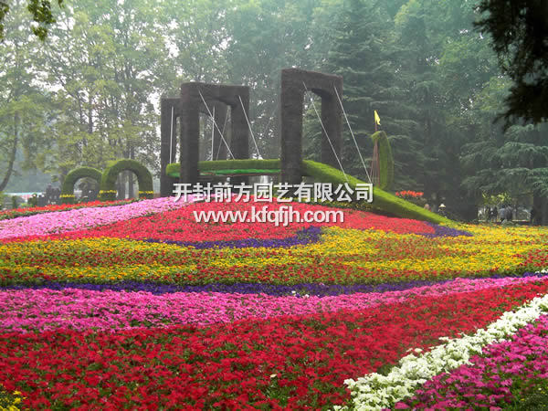 開(kāi)封前方園藝——五色草立體花壇廠家直銷